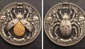 Монета-жук Романа Бутина